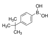 4-叔丁基苯硼酸,97%