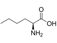 L-正白氨酸，98%（HPLC) 